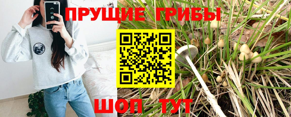 Псилоцибиновые грибы ЛСД  дарнет шоп  Рузаевка  Галлюциногенные грибы Cubensis  Вход с VPN 